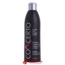 Шампунь лікувальний для сухого і ламкого волосся Concerto Dry and Treated Hair Shampoo Punti di Vista, 250 мл