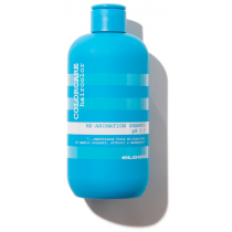 Відновлюючий шампунь для пошкодженого волосся Elgon Colorcare Re-Animation Shampoо, 300 мл