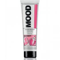 Шампунь для фарбованого та хімічно обробленого волосся Mood Color Protect Shampoo, 400 мл