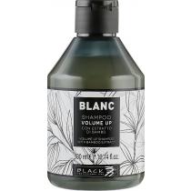 Шампунь для збільшення об'єму волосся Blanc Volume Up Shampoo Black Professional, 300 мл