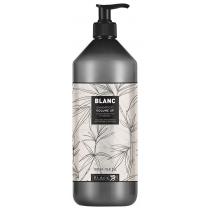 Шампунь для збільшення об'єму волосся Blanc Volume Up Shampoo Black Professional, 1000 мл