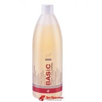 Шампунь для фарбованого волосся Post color Shampoo Basic Line Spa Master, 970 мл