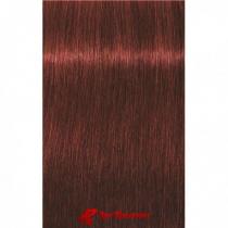 Фарба для сивого волосся Темно-русявий червоний натуральний IR 6-80 Igora Absolutes Schwarzkopf, 60 мл