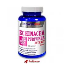 Ехінацеї пурпурової екстракт Echinacea Purpurea Extract Powerful для підвищення імунітету, капсули 1,0 г № 60