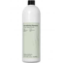 Трав’яний шампунь для глубокого очищення 04 Natural Herbs Back Bar Revitalizing Shampoo Farmavita, 250 мл