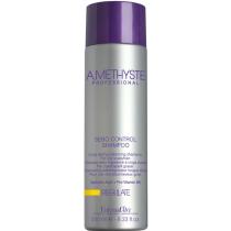 Шампунь для жирної шкіри голови Amethyste Regulate Sebo Control Shampoo Farmavita, 250 мл