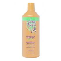 Шампунь для фарбованого волосся pH 4,5 After Color Shampoo JJs, 500 мл