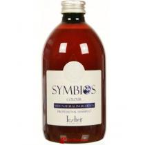 Шампунь для фарбованого волосся Symbios Colour Shampoo Le Cher, 1000 мл
